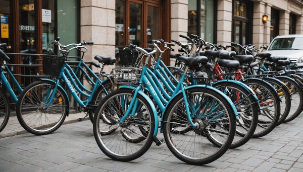 Location de vélo : comment éviter les vols ?